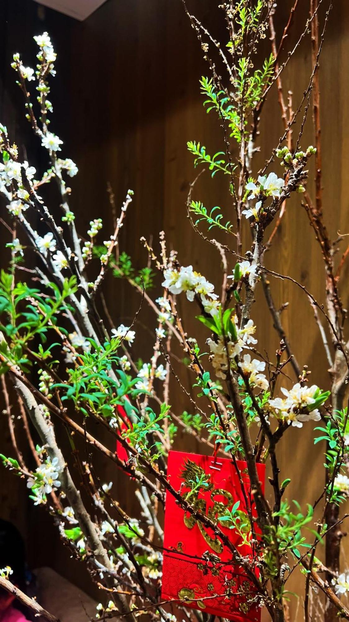 Rosa Zen Hotel Spa Хошимин Экстерьер фото